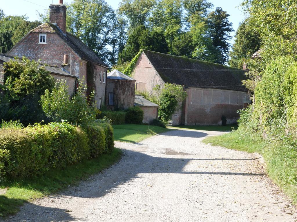 Home Farm House Wimborne Saint Giles エクステリア 写真